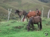 chachapoyas_hike-20