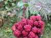 chachapoyas_hike-23