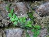 chachapoyas_hike-25