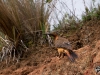 chachapoyas_hike-28