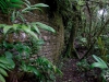 chachapoyas_hike-33