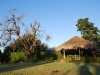The main palapa