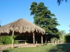 Main palapa and cactus garden