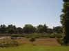View to the Rio Fuerte