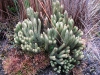 cajas-3