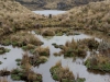 cajas-7