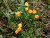 cajas-8
