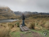 cajas
