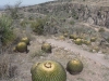 el-charco9