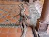A beautifuly integrated root structure at Posada del Hidalgo