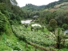 finca-dracula5