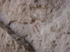 p1100611