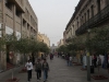 guadalajara11