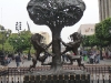 guadalajara13