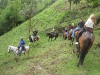 horses01
