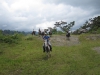 horses03