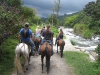 horses04