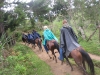 horses05