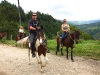 horses06