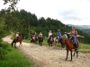 horses07