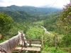 horses08