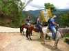 horses09