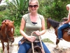 horses10