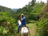 horses11