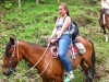 horses13