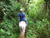 horses15