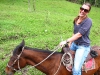 horses16