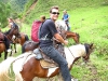 horses17