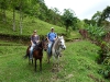 horses18