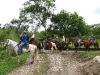 horses19