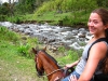 horses24