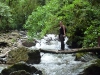 valledecocora14