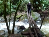 valledecocora17