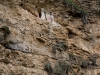 chachapoyas_hike-15