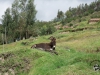 cordillera-28