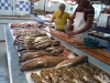 Fresh seafood at the city market