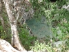 mayariviera14