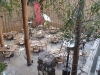 oaxaca11