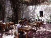 oaxaca35