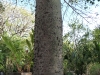 oaxaca37