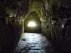 palenque28
