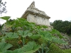 palenque44