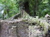 palenque49