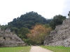 palenque5