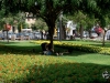 parquekennedy-4