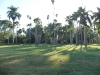 p1120007